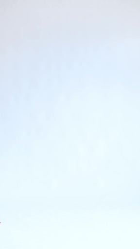 Belen Cotton Palazzo Pants | Pristine