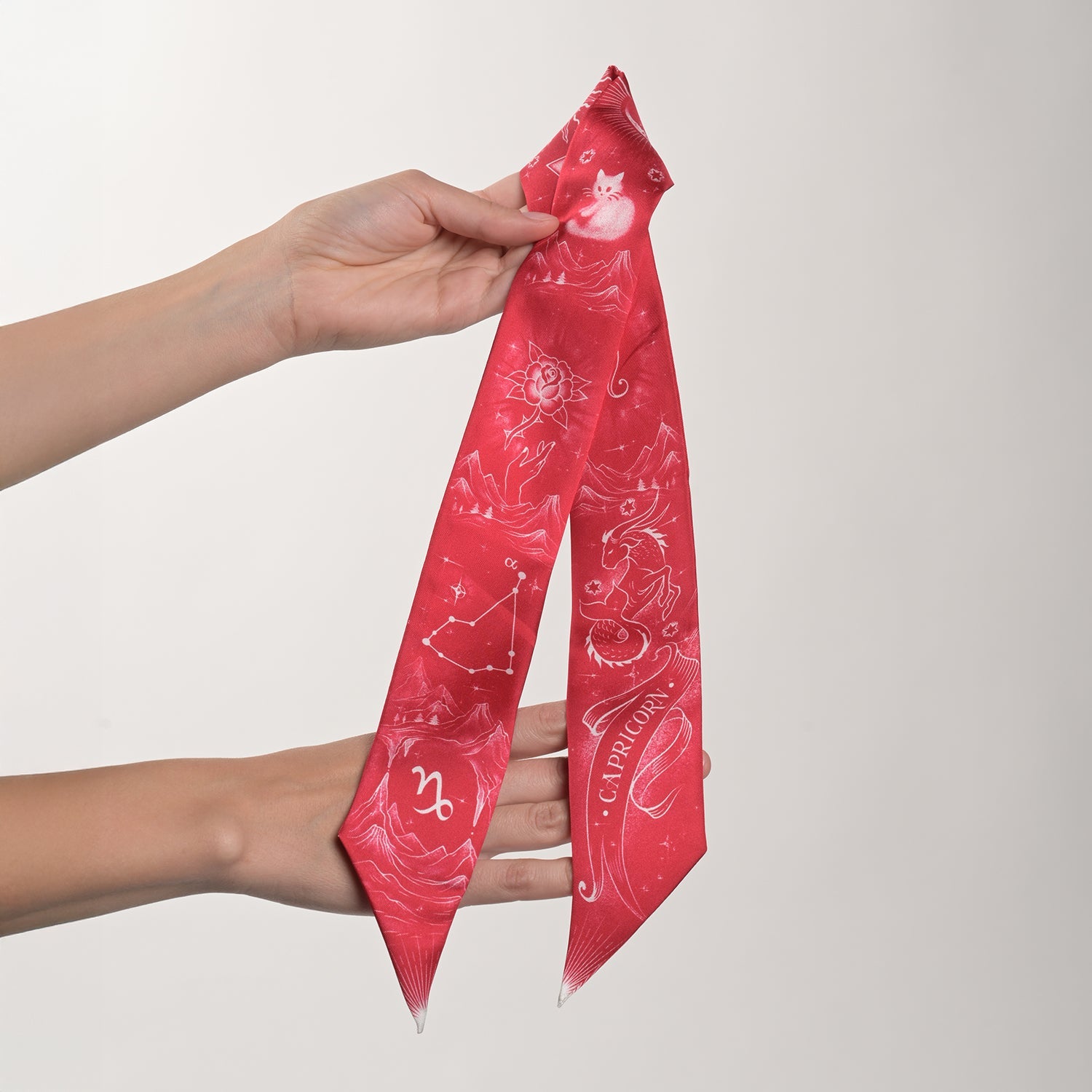 Capricorn Zodiac Twilly