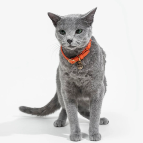 Leather Cat Collar
