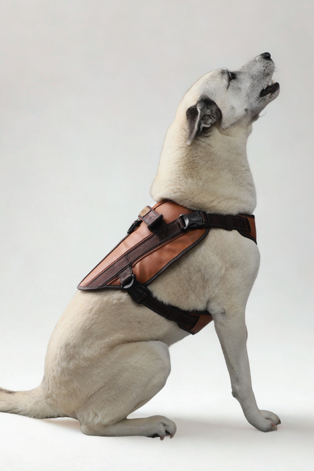 Donatello Leather Harness • Honey ~ Brown