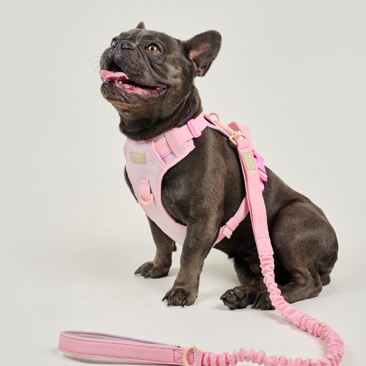 Sport Harness BASIC Dusty Rose