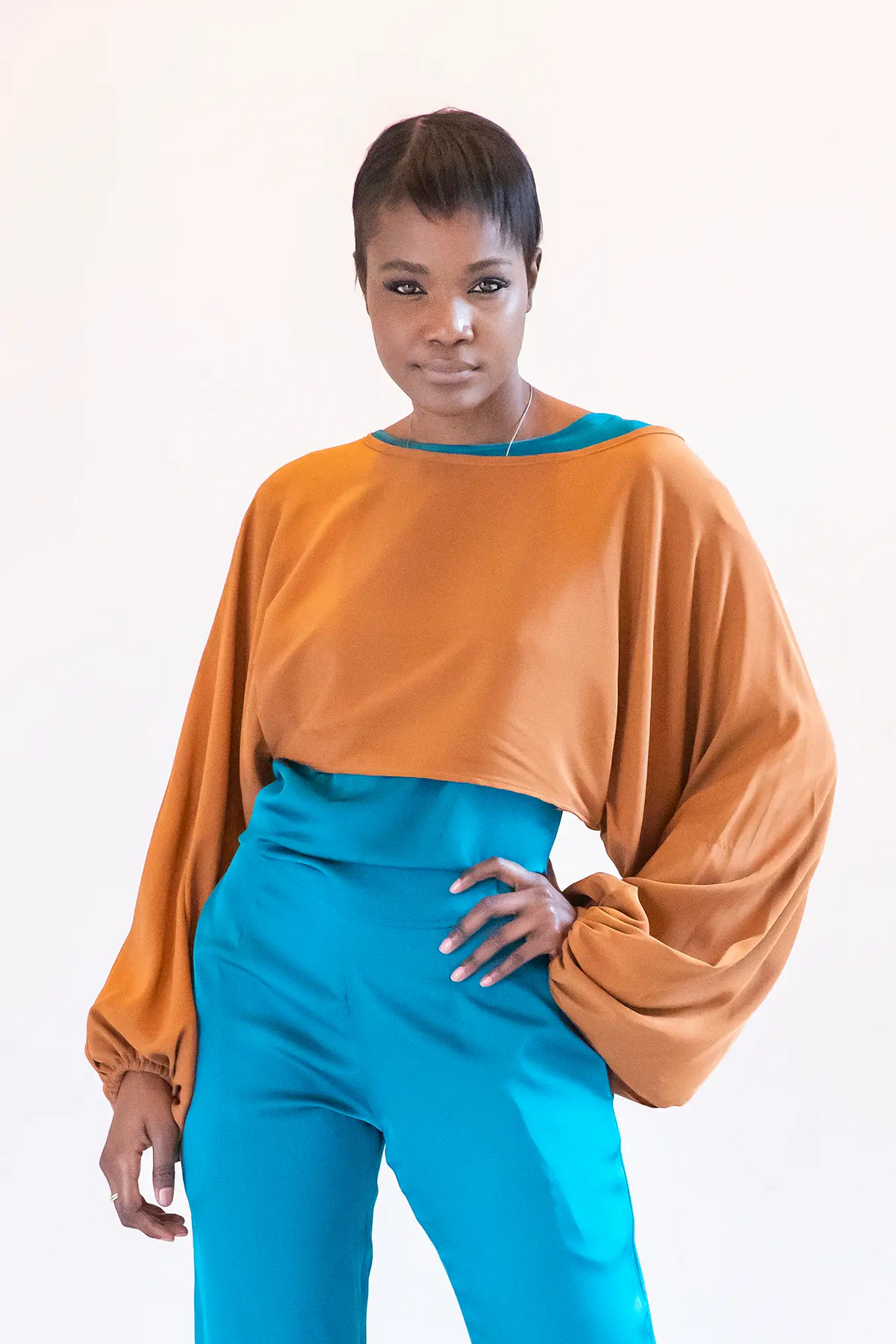 Silk Cropped Sleeves Top