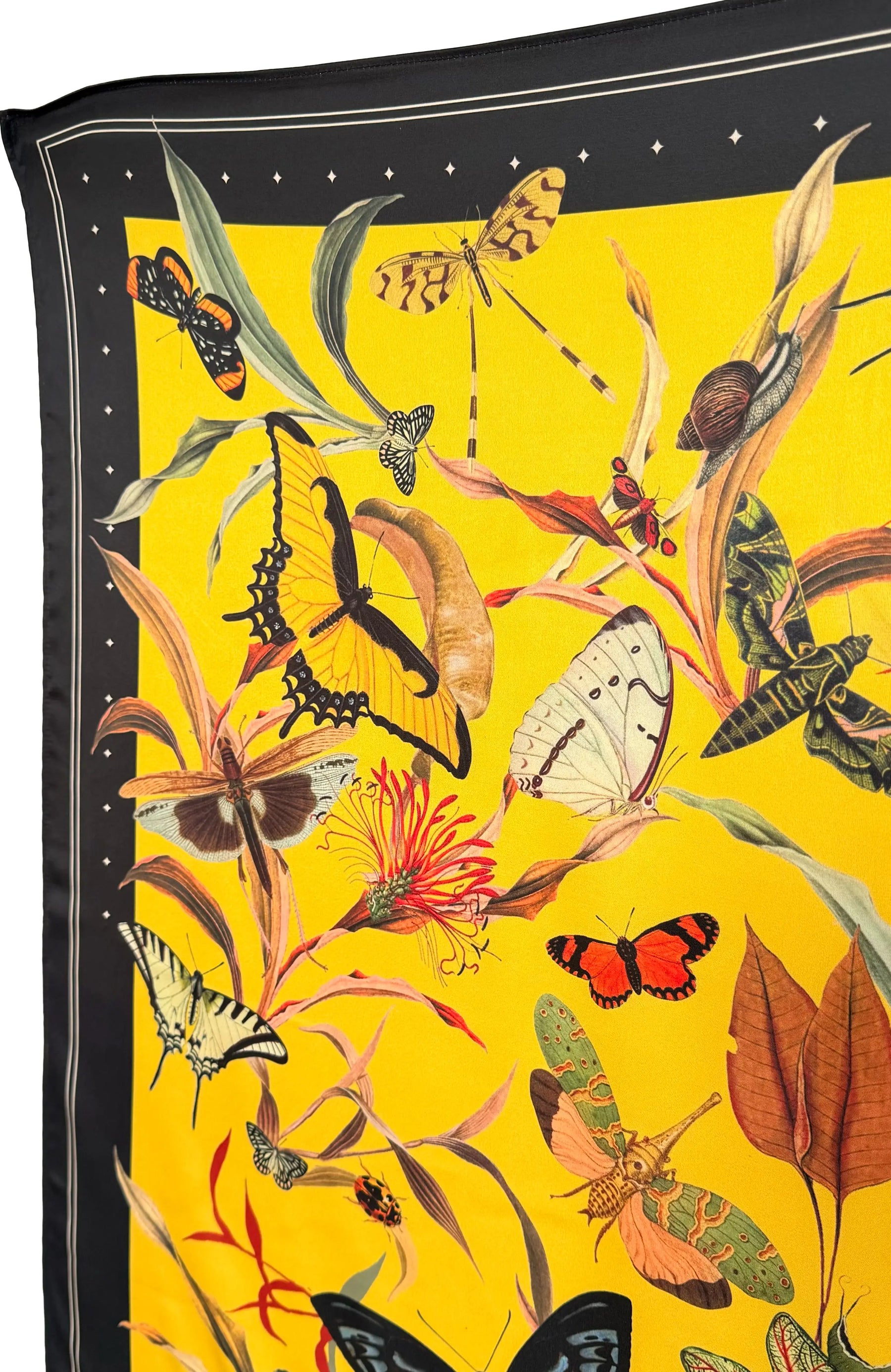 Scarf Butterfly 1