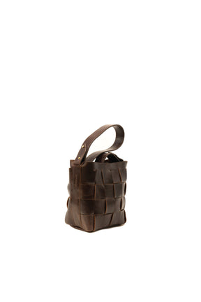 Coyote Handbag
