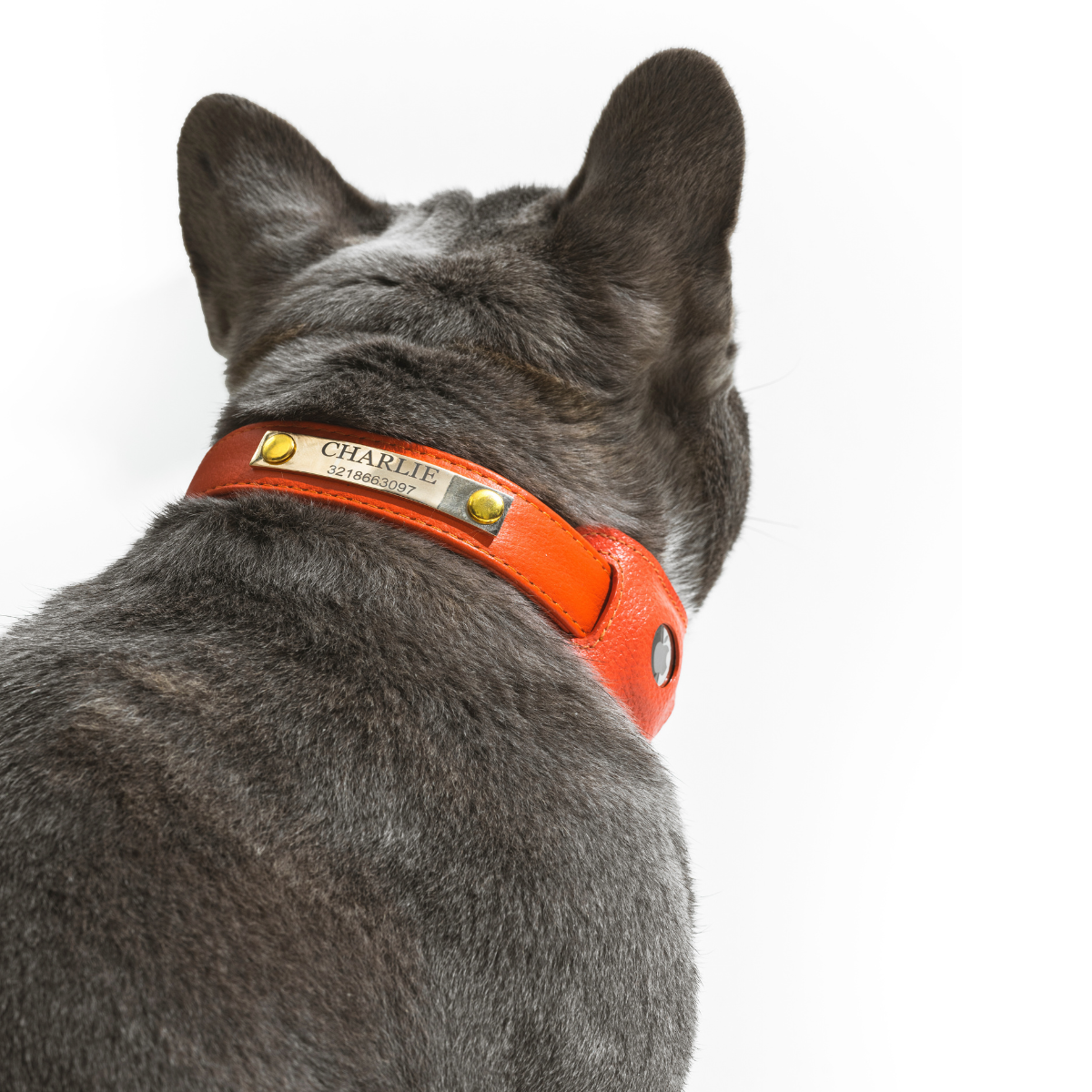 Leather Air Tag Holder