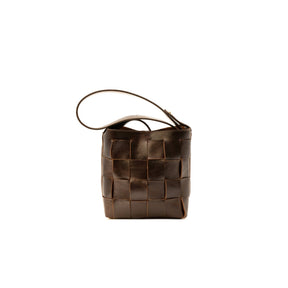 Coyote Handbag