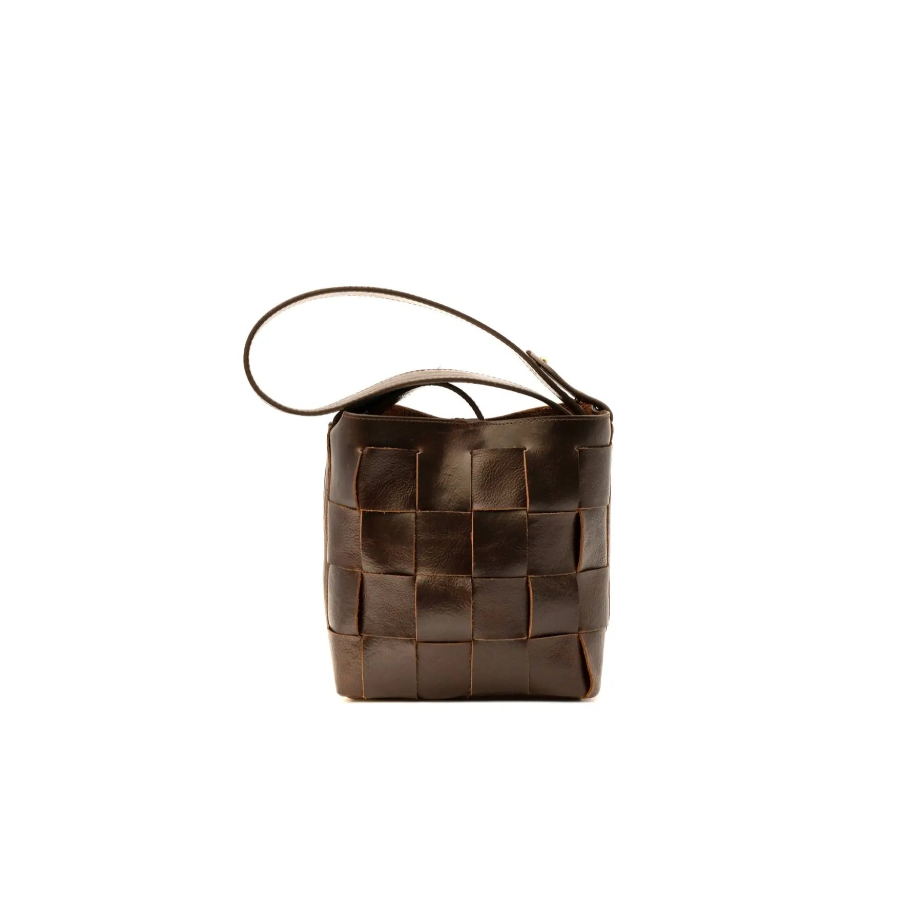Coyote Handbag