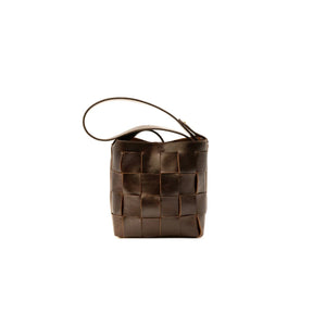 Coyote Handbag