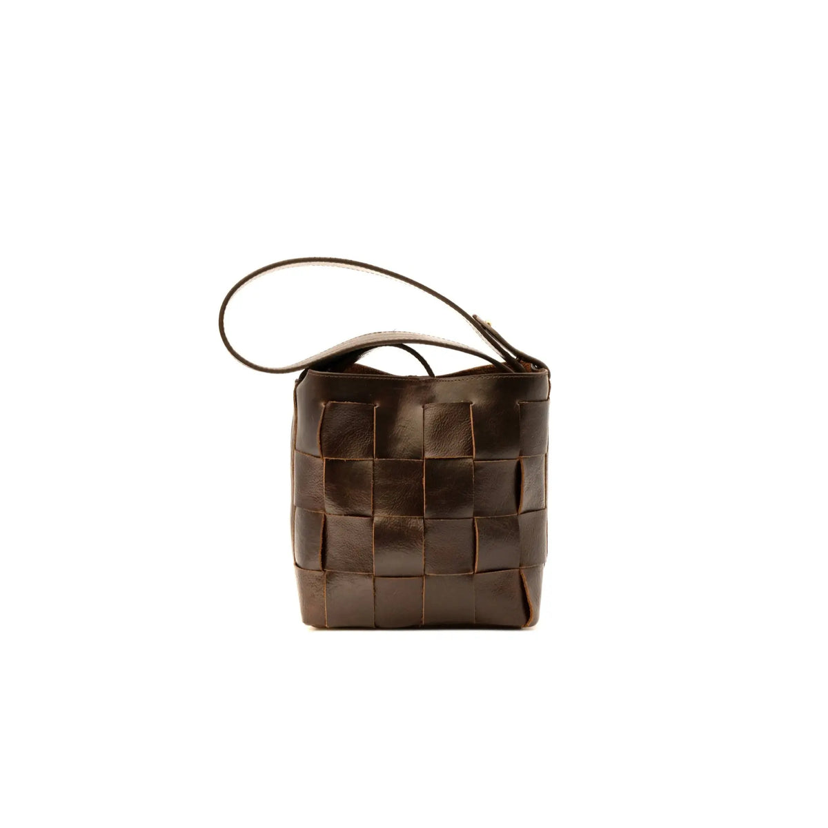 Coyote Handbag
