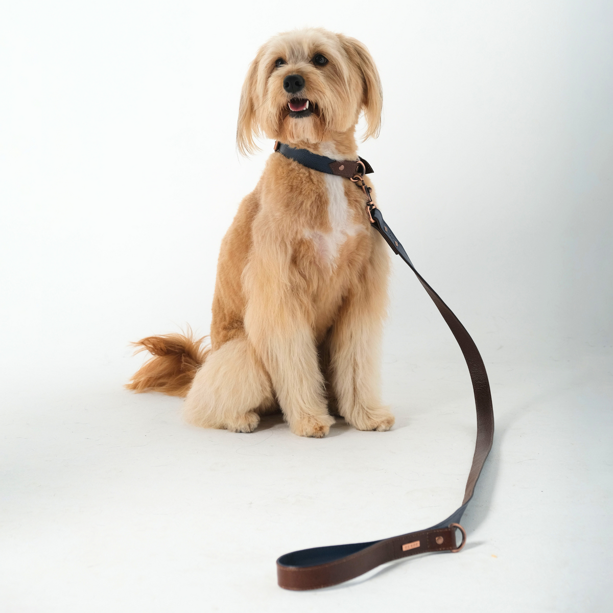 Hunter Navy Leather Dog Leash