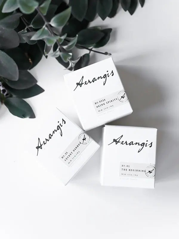 Aerangis Discovery Journey Gift Set