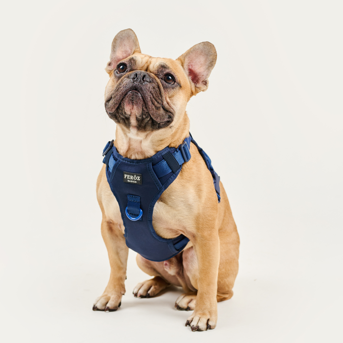 Sport Harness BASIC Navy