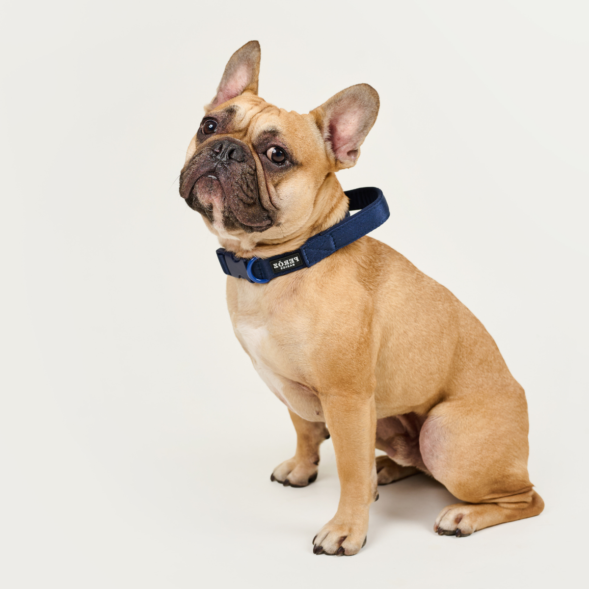 Collar BASIC Navy