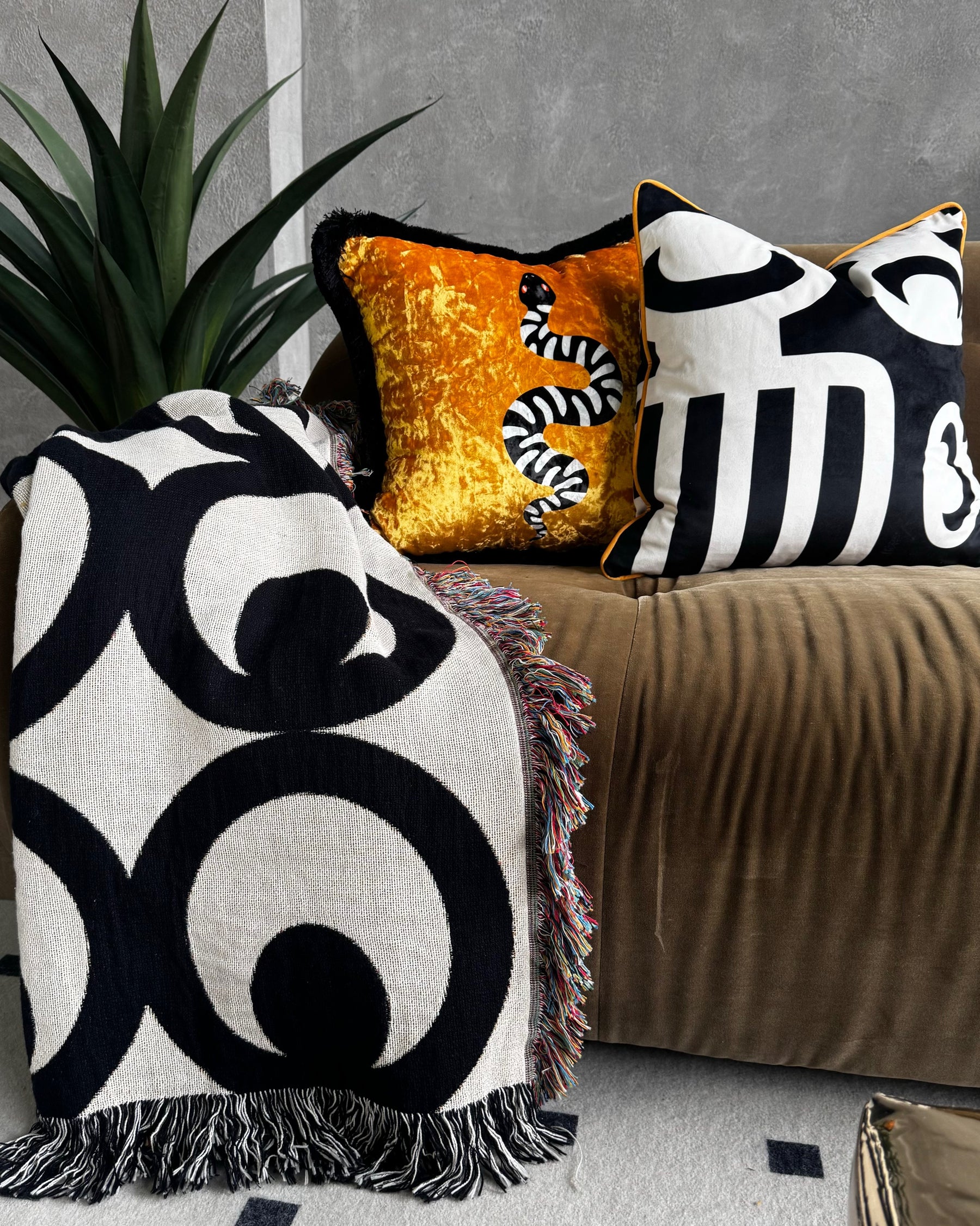 Duafe Throw Pillow in Soft Velvet