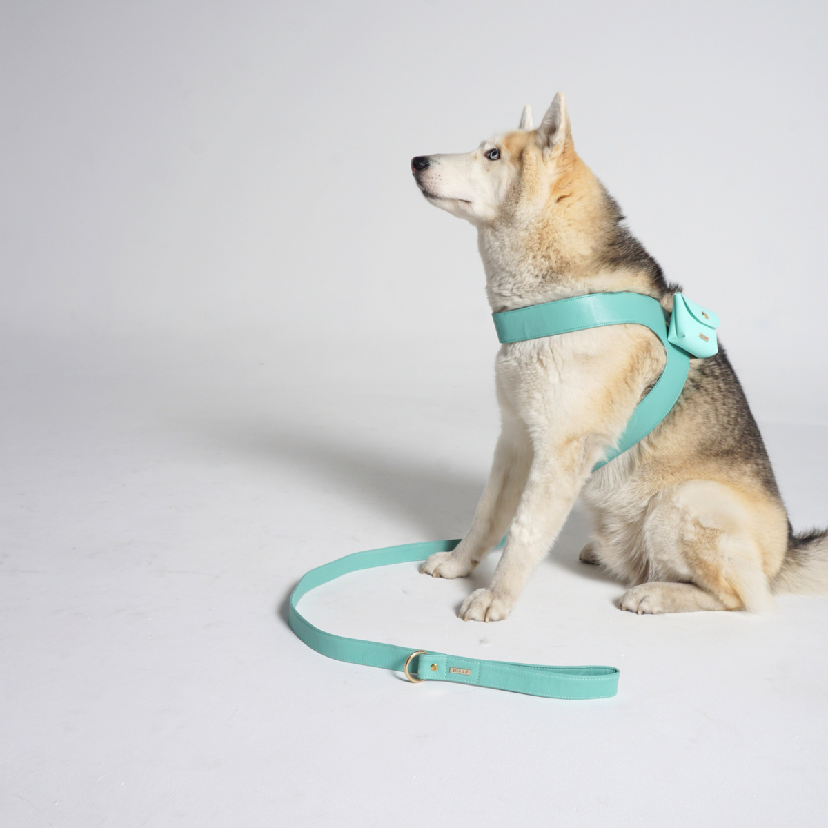 Turquoise Leather Dog Leash