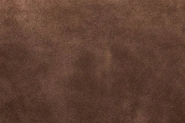 Clara Bag Suede