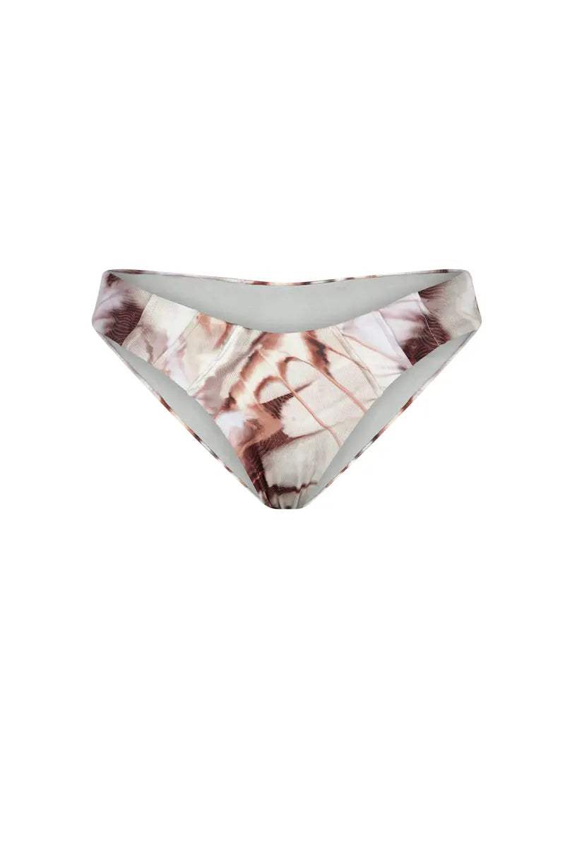 MORPHO Bottom USA Print Cafe