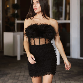 Briolette Black Feather Corset Dress