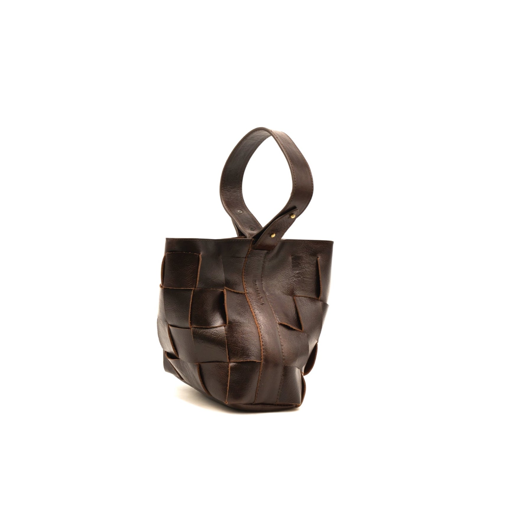 Coyote Handbag