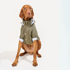 Military Green Dog Raincoat