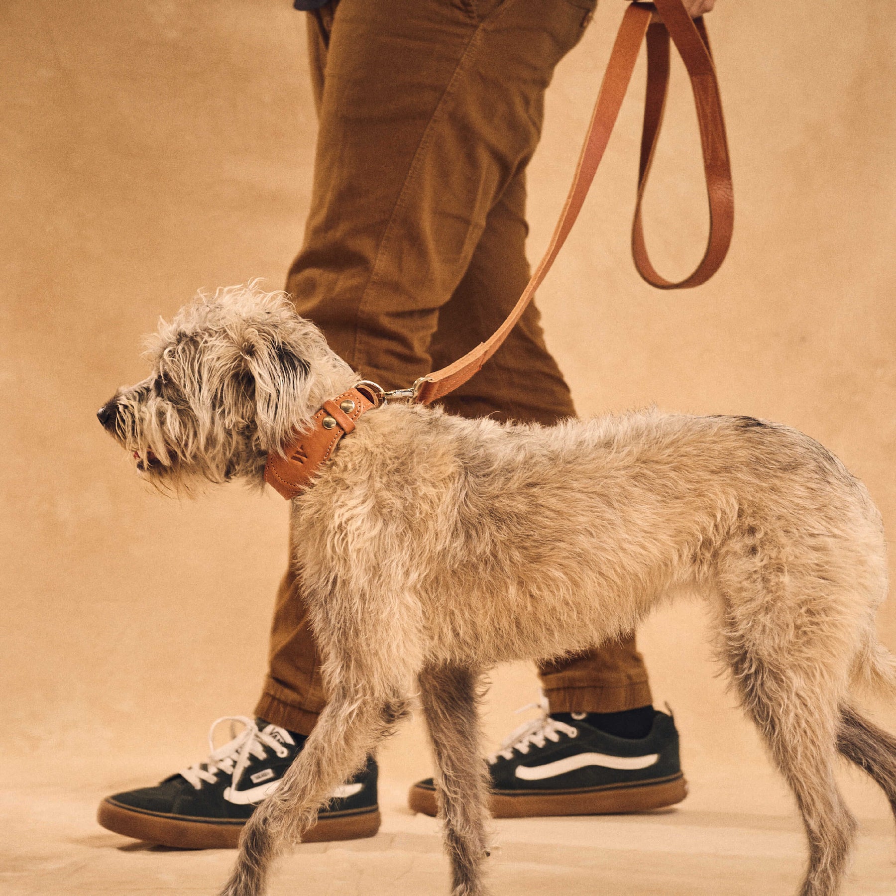 AirTag Pet Leash