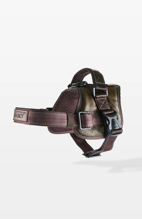 Signature Leather Dog Harness