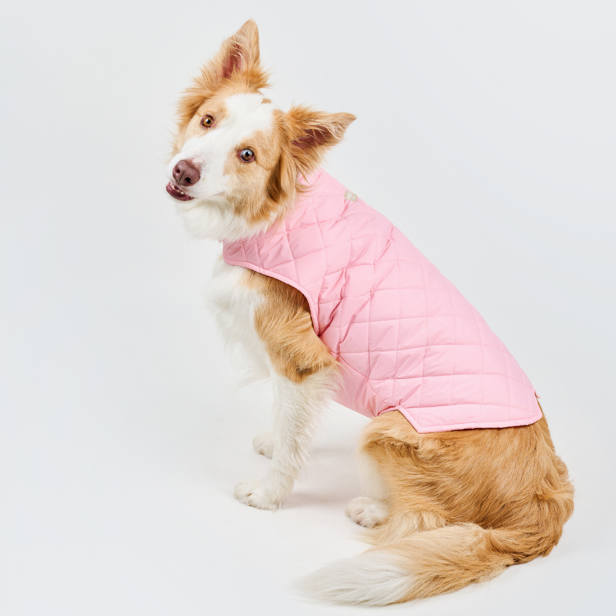Dog Vest BASIC Dusty Rose