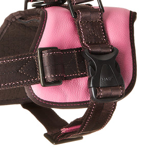 Mayo Leather Harness • Fuchsia ~ Brown