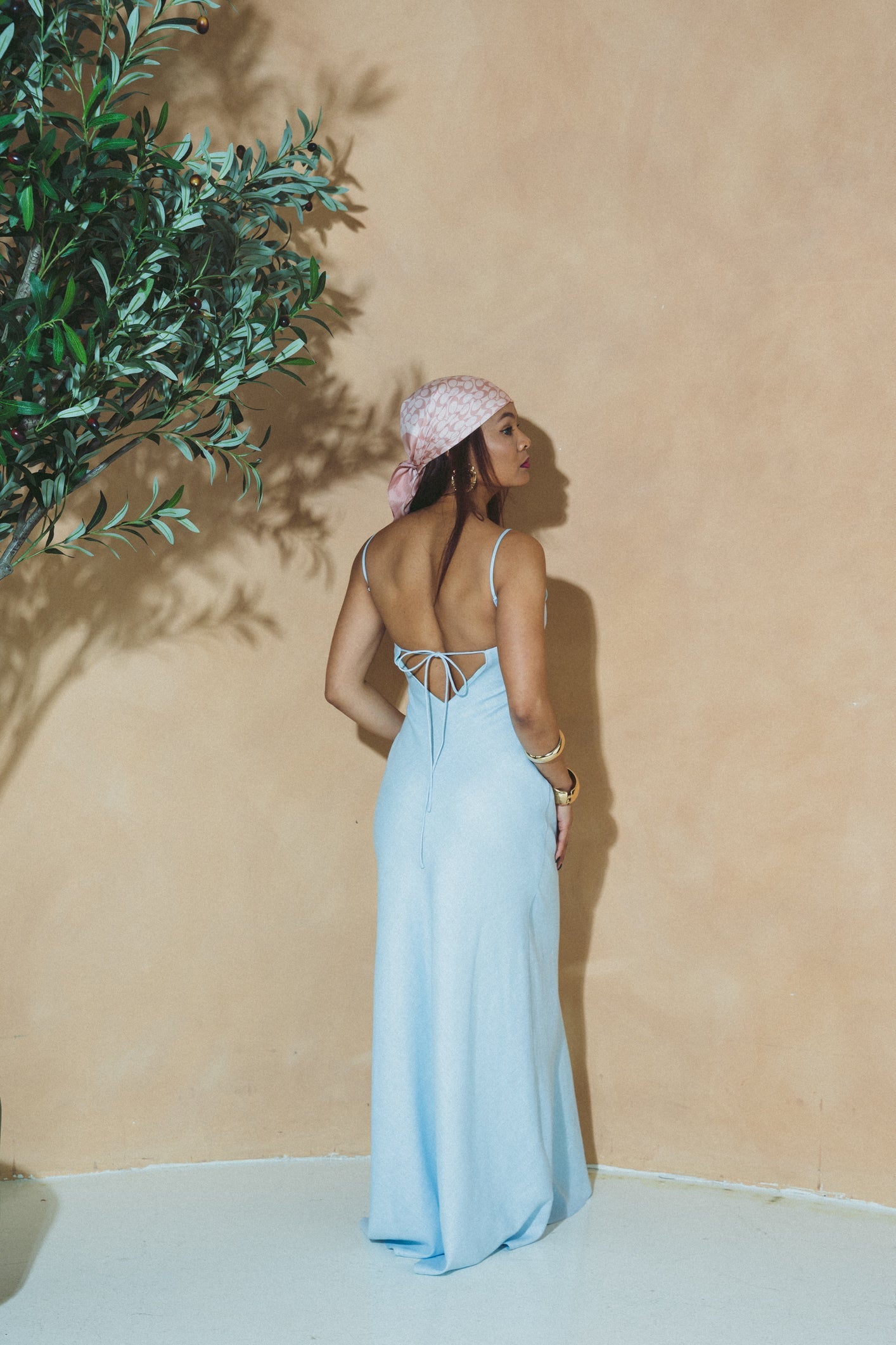 Celeste Maxi Dress