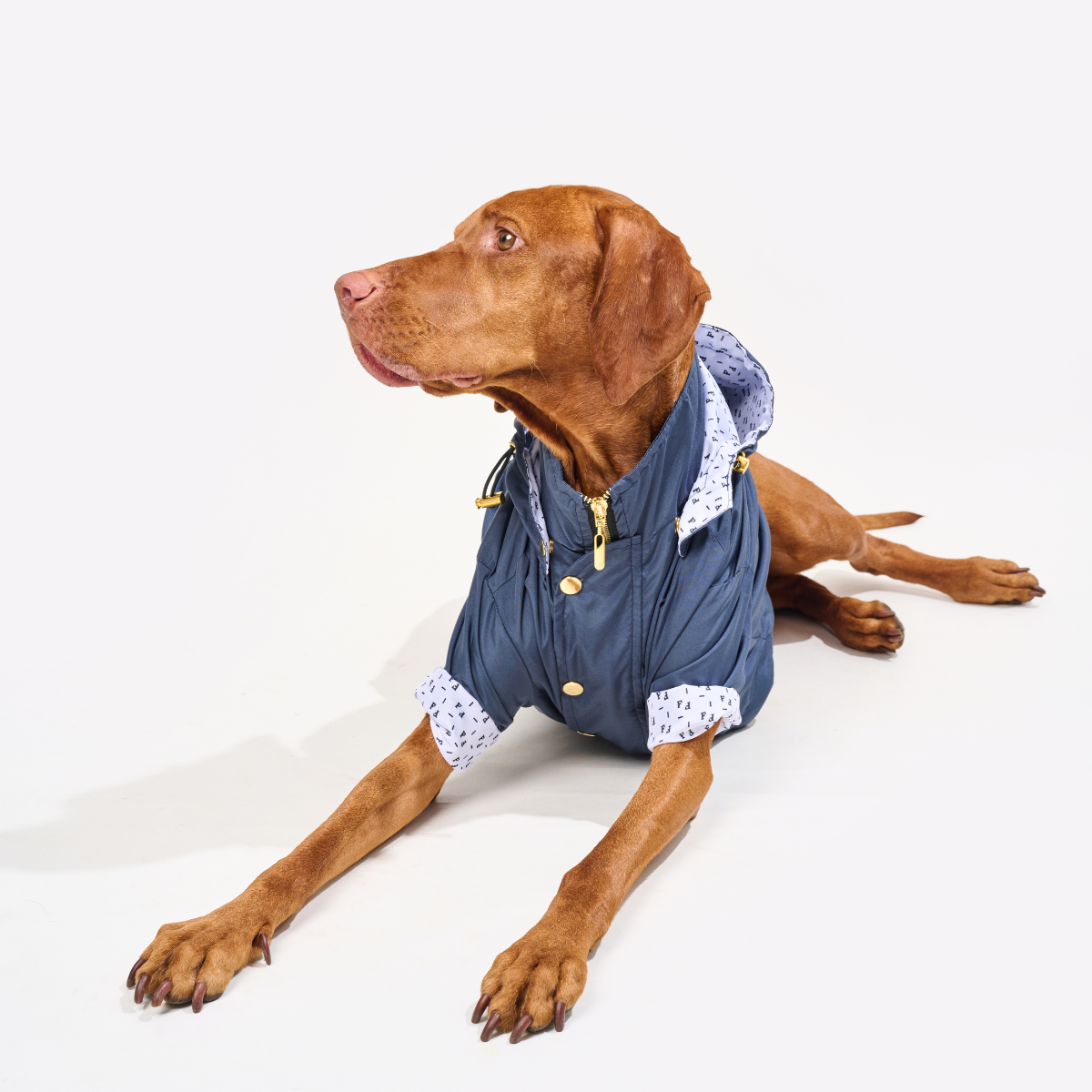 Navy Dog Raincoat