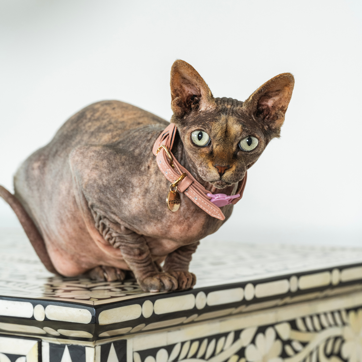 Leather Cat Collar