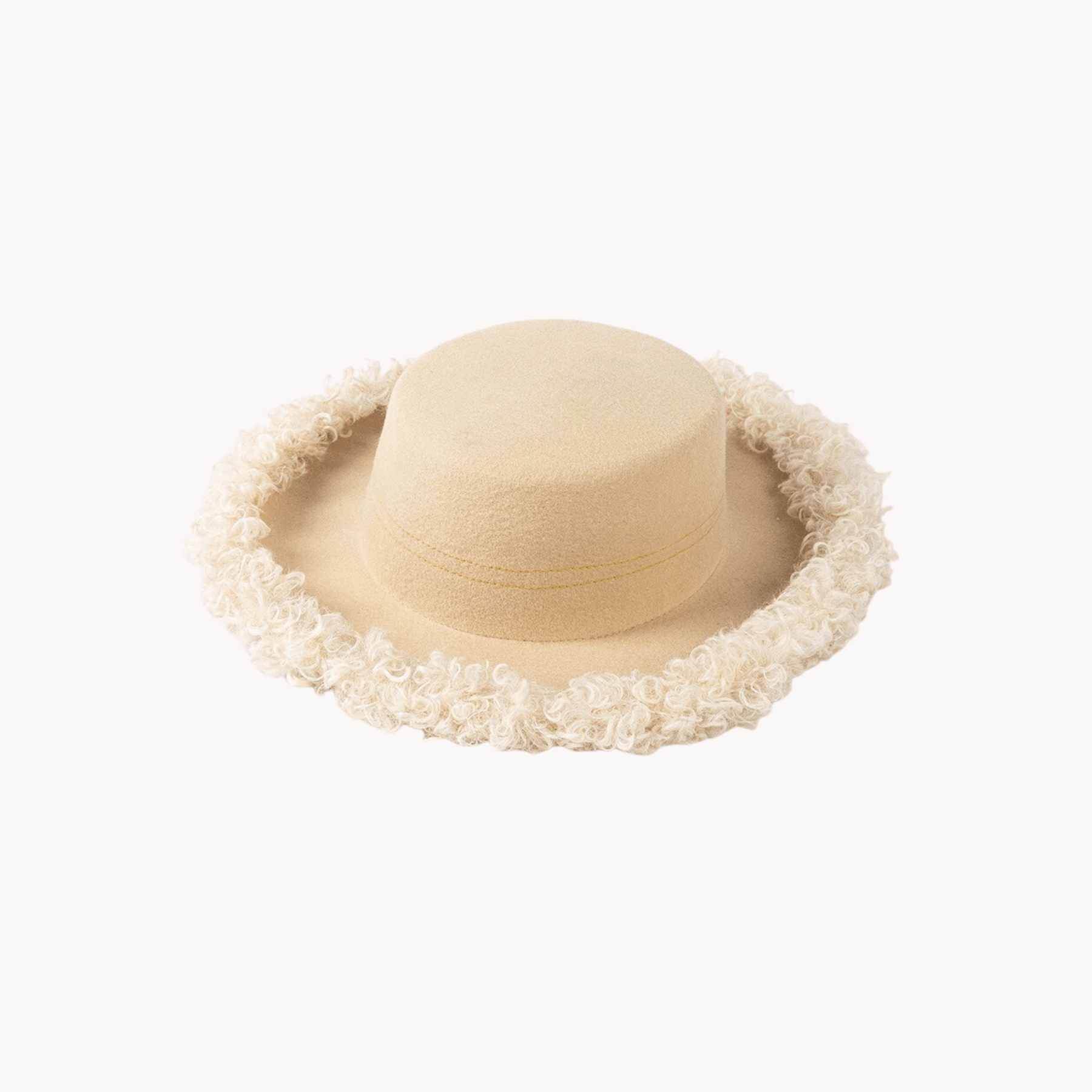 Faux Fur Rim Wool Hat