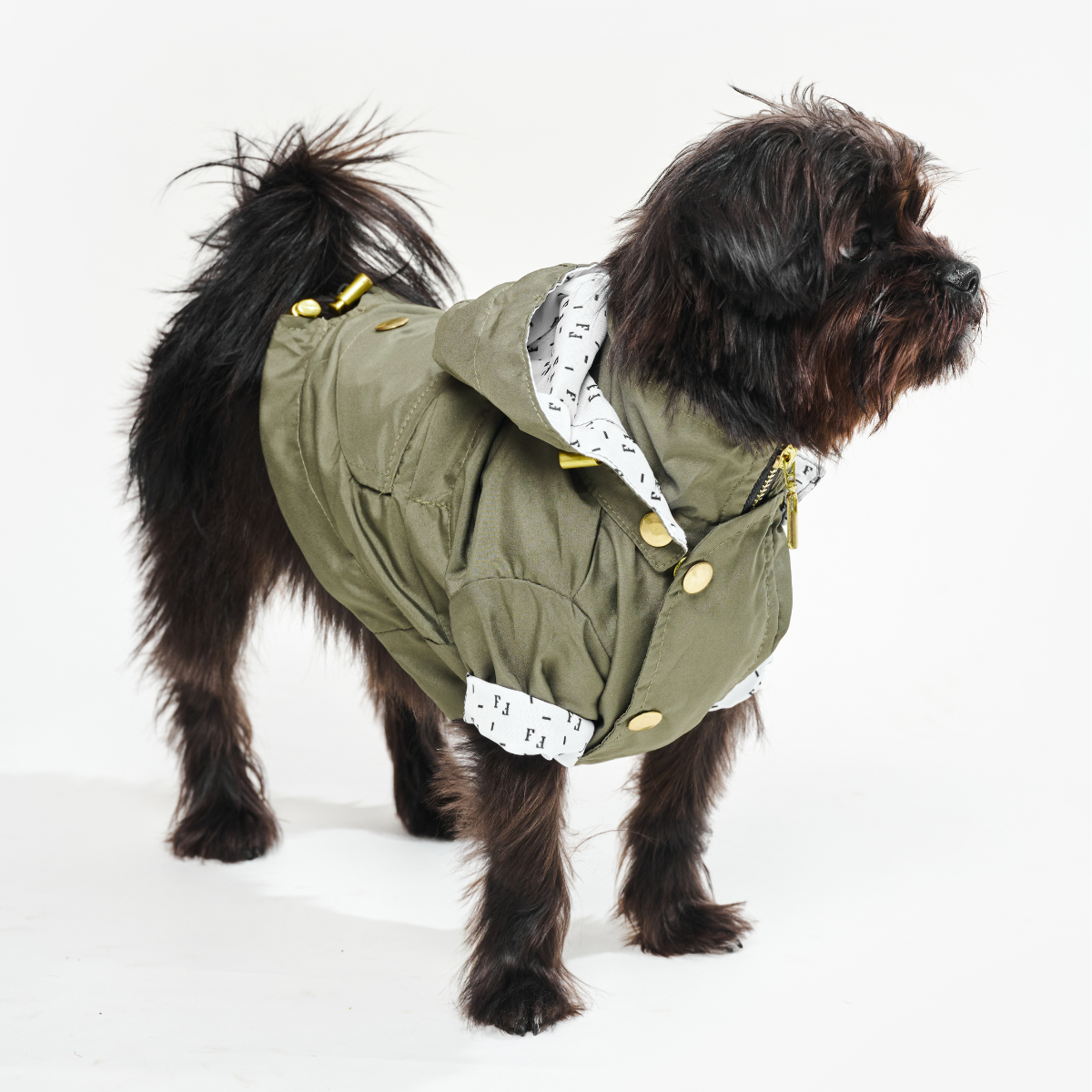 Military Green Dog Raincoat