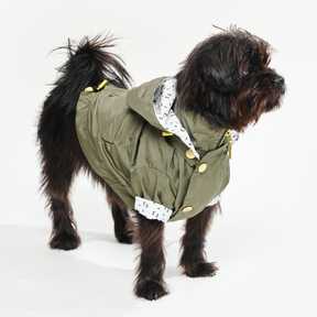 Military Green Dog Raincoat