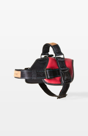 Signature Leather Dog Harness