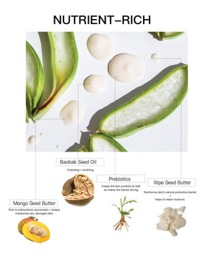 Overcast - Prebiotic Body Butter Cream