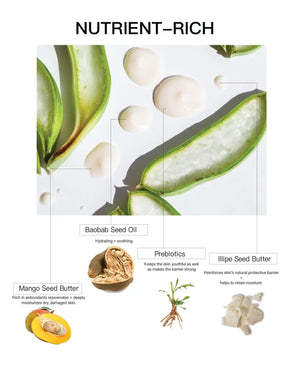 Overcast - Prebiotic Body Butter Cream