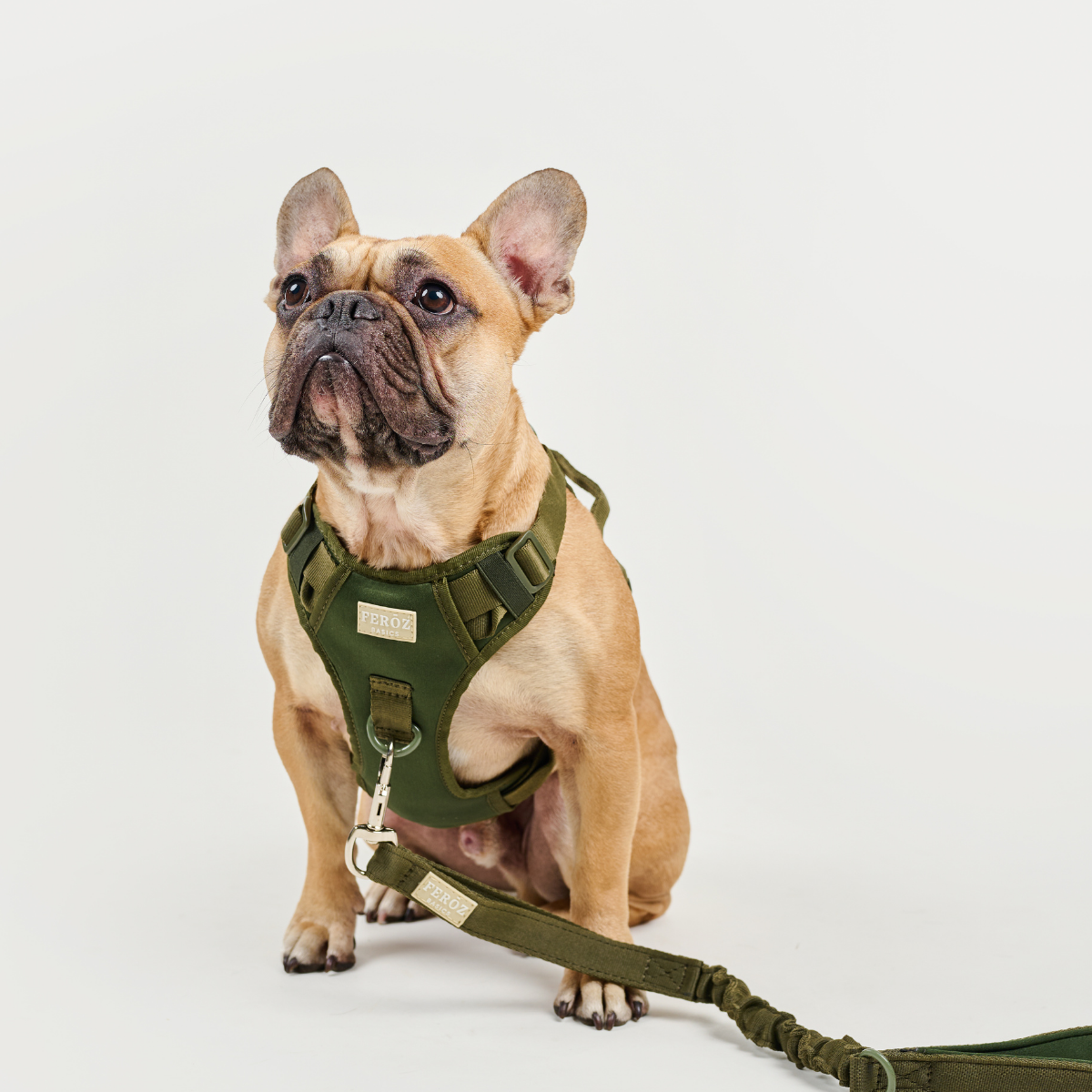 Dog Sport Harness BASIC Military Green