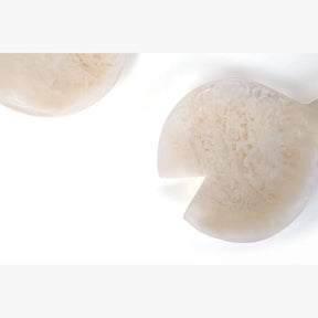 Resin Salad Server-Vanilla  (Set of 2), 12.40 x 3.93 Inches