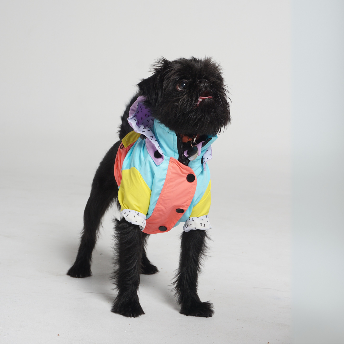Pastel Dog Raincoat