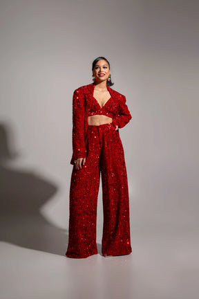 LIZA Sequin Bra Top in RUBY