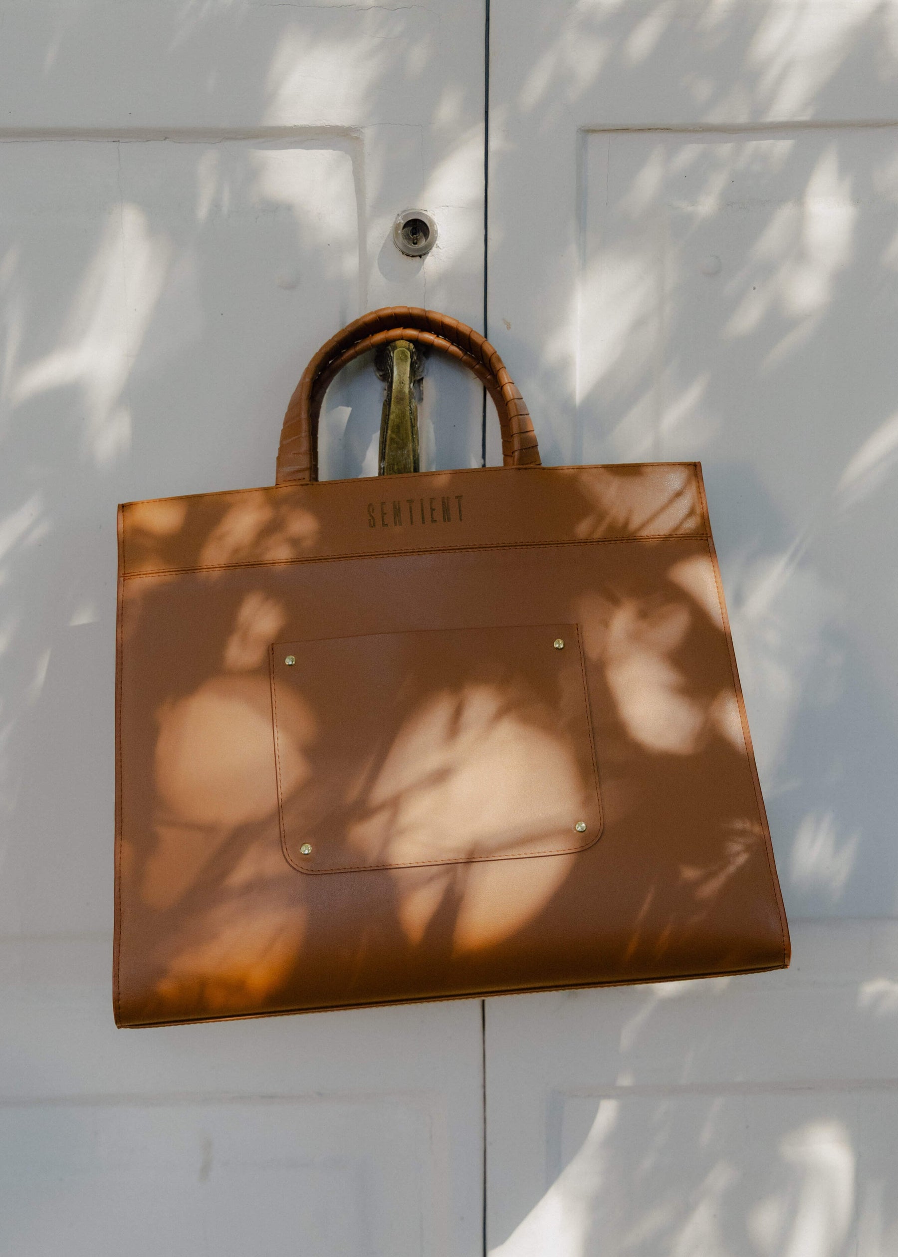 PANTHERA MAXI BROWN