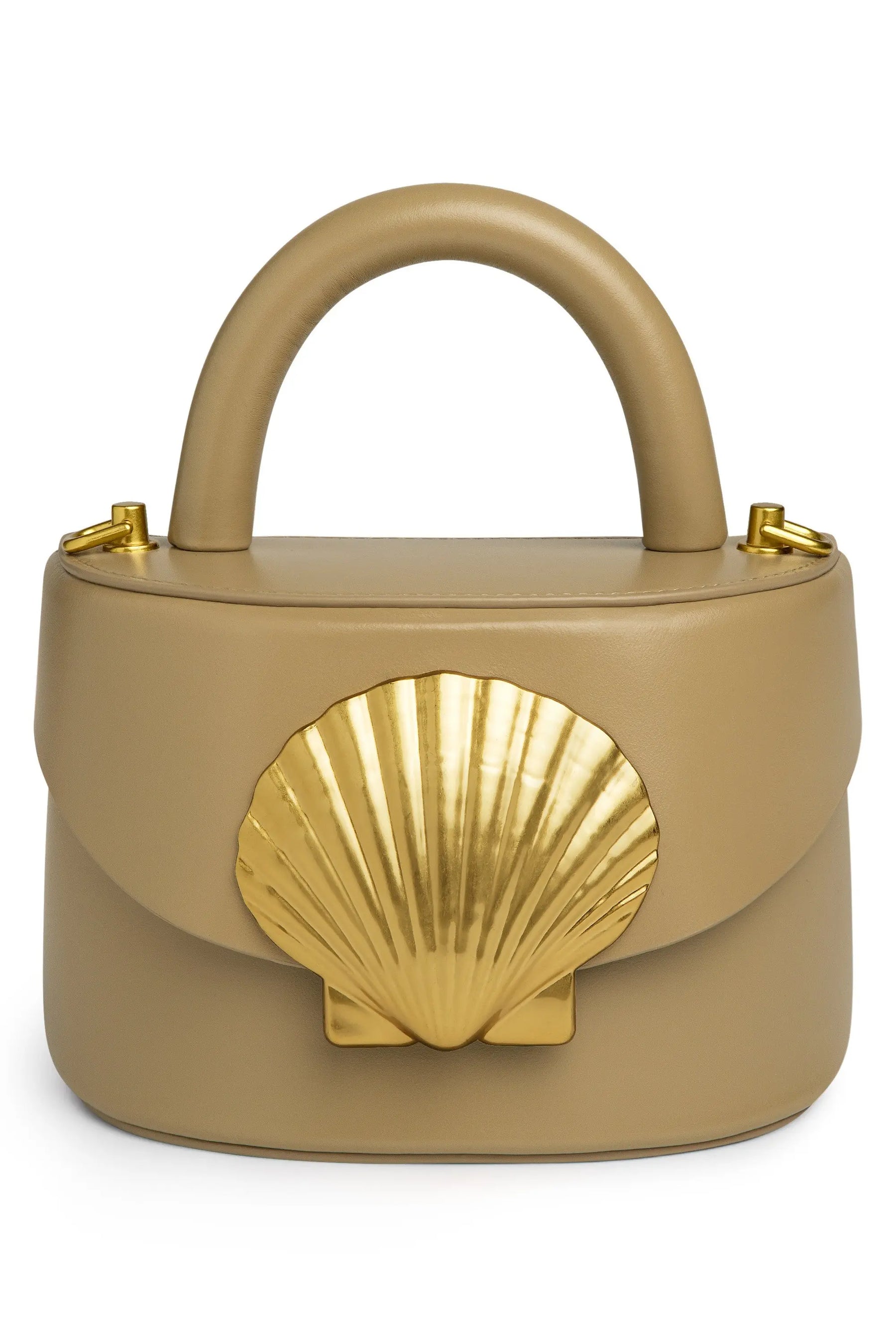 Viera Scallop Shell
