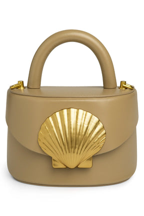 Viera Scallop Shell