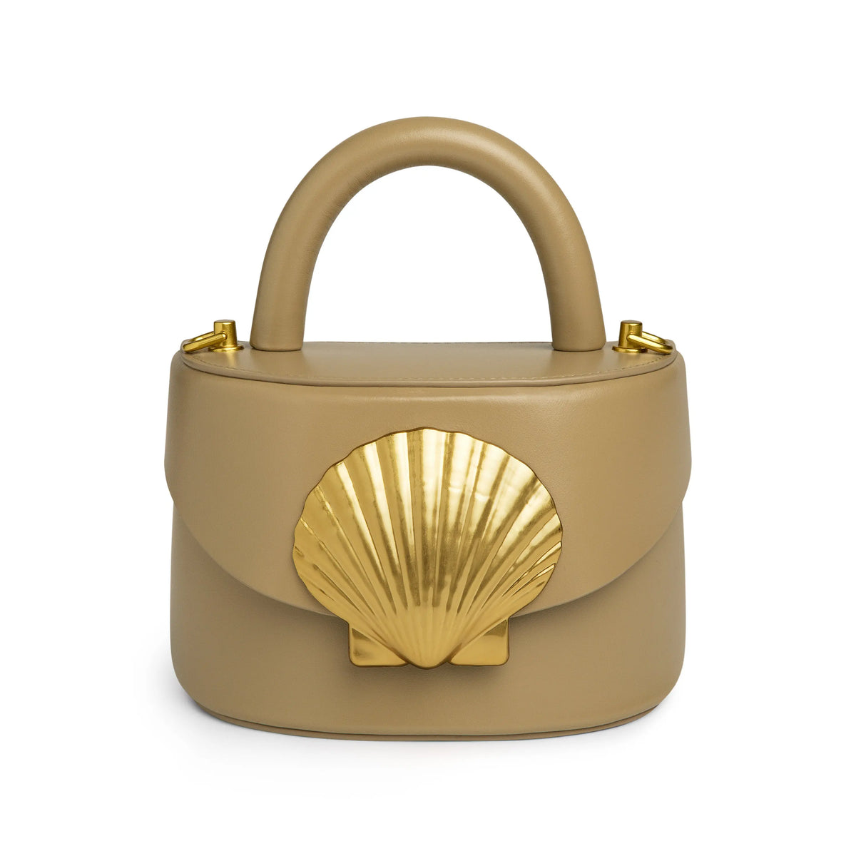 Viera Scallop Shell