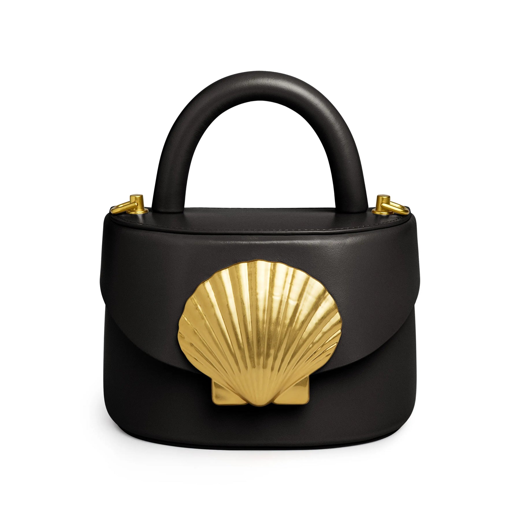 Viera Scallop Shell