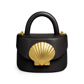 Viera Scallop Shell