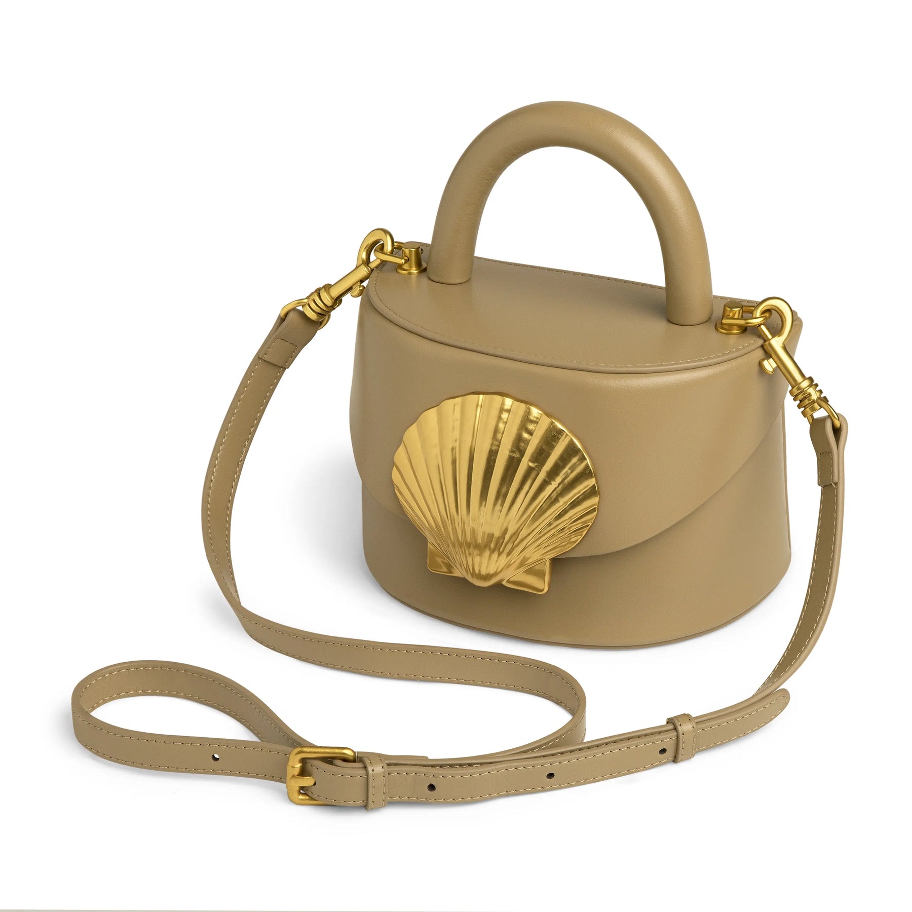 Viera Scallop Shell